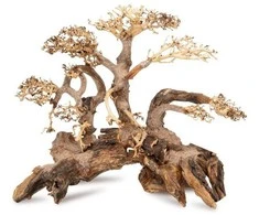 Norimpex Skęstantis bonsai medelis Nr. 59 60x40