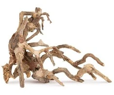 Norimpex Skęstantis bonsai medelis Nr. 64 50x40