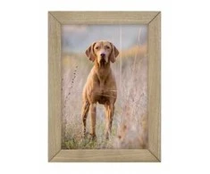 Nuotraukų rėmelis Ramka Gift Decor Ramka Woodflow FrameFlip A4