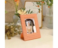 Nuotraukų rėmelis Loveinstant „Fujifilm Instax Mini 99-40-12-11-9-7 Liplay Evo“ nuotraukų stovas / oranžinis