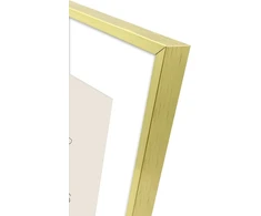 Nuotraukų rėmelis Ramka Focus Focus Aster Gold 20x25/PP 15x20