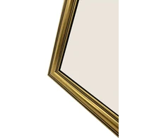 Nuotraukų rėmelis Ramka Focus Focus Holly Gold 30x40