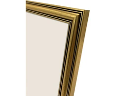 Nuotraukų rėmelis Ramka Focus Focus Holly Gold 30x40