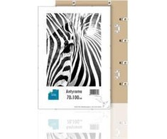 Nuotraukų rėmelis Memoboards Atmintinių lentų rėmas Plexi rėmas B1 70X100CM (ANP70x100)