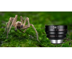 Objektyvas Obiektyvas Laowa Sword 15 mm T4,1 1x Macro Cine, skirtas Arri PL
