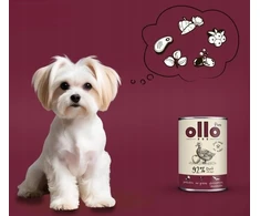 OLLO Pure antiena with apple – drėgnas ėdalas šunims – 850g