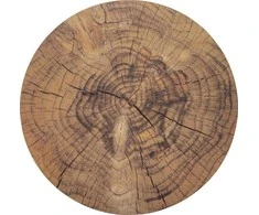 Orion Kamštinis padėkliukas 38 cm Apvalus