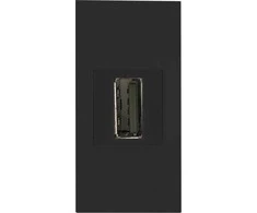 Orno NOEN USB data, modulinis lizdas 22,5x45 mm USB data 2.0, tarpiklis, juodas