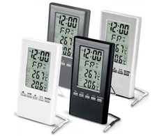 Terdens ELEKTRONINIS VIDAUS / LAUKO TERMOMETRAS SU LAIDINIU ZONDU. WBG