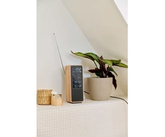 „Thomson WS102TBK“ meteorologinės stotelės su „Bluetooth“ garsiakalbiu ir FM radiju