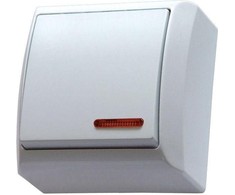 Ospel @ item: inlistbox Bis jungtis su baltuoju pašvietimu (ŁN-1BS / 00)