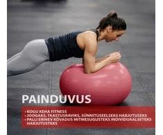 Nesprogst. gimnastikos kamuolys OUTLINER LS3222, Ø55 cm, PVC