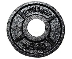 DISKINIS SVORIS YLPS36A 0.5KG 31MM OUTLINER