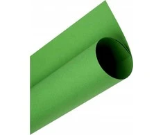 Oxford Oxford Cardboard A3 160g žalia (25), ŽALIA
