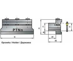 Pafana PTNN-20 ŽIBINTINĖ
