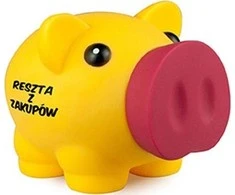 Pan Dragon Big Piggy- 13 Treasurer