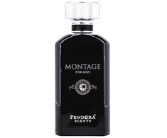 Pandora Scents Pendora Scents Montage For Men kvepalai vyrams, 100 ml