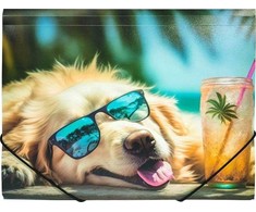 Panta Plast Aplankas su guma A4 CHILLOUT DOG