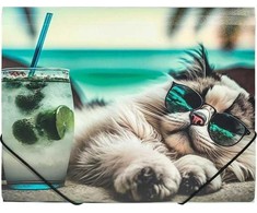 Panta Plast Aplankas su guma A4 CHILLOUT CAT
