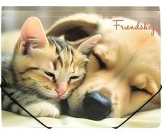 Panta Plast Aplankas su guma A4 FRIENDSHIP