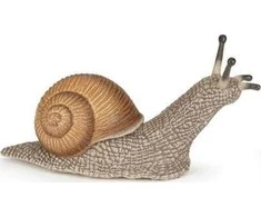 Papo figūrėlė Sraigė