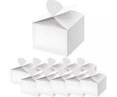 Party Deco Dovanų dėžutės baltos 10 vnt 6*5*6cm
