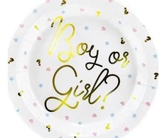 Party Deco Popierinės lėkštutės "Boy or Girl" 6vnt 23cm