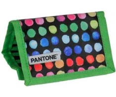Paso Portfel Pantone PANTA-002