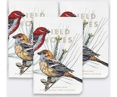 Field Notes Pastabos Šiaurės Amerikos paukščiai ir medžiai