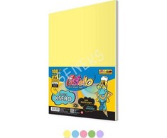 Pastello Xerox popierius A4 80g spalvų derinys 100 lakštų