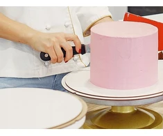 Patisse Lanksti nerūdijančio plieno tešlos mentelė 11 cm -
