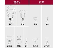 Paulmann LED Plant GU10 pro-growth šviesos šaltinis 3,5W 95lm 1100K 230V stiklas