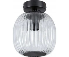 Paulmann lubinis šviestuvas RUYA vonios lubų šviestuvas E14 max 20W IP44 230V matinis juodas / stiklas