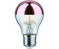 Paulmann LED veidrodžio šaltinis 6.5W 230V 680lm E27 2700K Varis