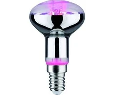 Paulmann LED šaltinis Plant R50 E14 6.5W 230V pro augimą