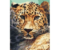 Pegasus Elliot Mackenzie Publishers Paint it! BS51736 Gepard