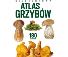 Peggy Diggledey kišeninis grybų atlasas