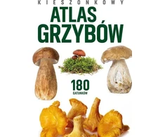 Peggy Diggledey kišeninis grybų atlasas
