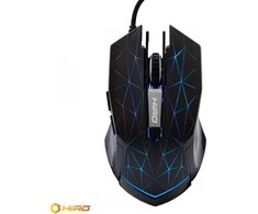 Pelės Hiro Voras + (NTT- G66 +)