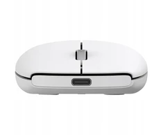 Pelė PROOVE Myszka belaidė Ramp balta USB-C (Proove)