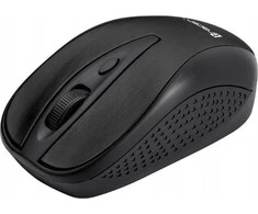 TRACER Joy II RF Nano USB Juodas Pelė Wireless