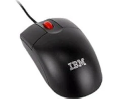 Pelė IBM „ThinkPlus“ USB optinis ratas