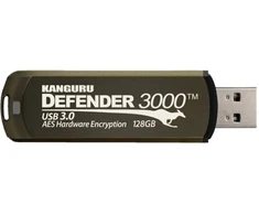 Pendrive iStorage Atmintis USB 128 GB 3.2 Gen 1 (3.1 Gen 1) Pilka (KDF3000-128G)