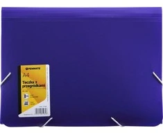 Penmate A4 PP- 104 violetinės spalvos skyriaus dėklas (315717)