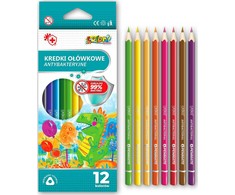 Penmate spalvinami pieštukai, 12 vnt.