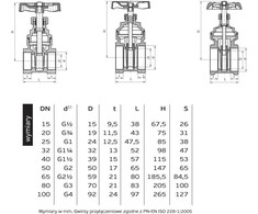 Perfexim Vandens vožtuvas 1 "(01- 022- 0250- 000)