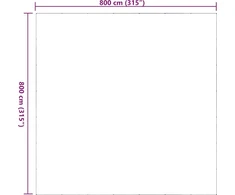 Skaidrus brezentas su ąselėmis 8x8 m PVC