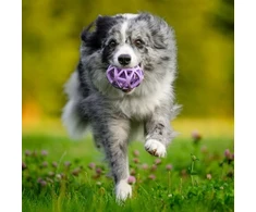 Pet Supplies žaislas šuniui SPIDERWEB BALL M 9cm