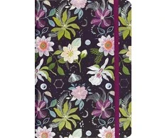 Peter Pauper Press Notebook mini Dangaus sodas