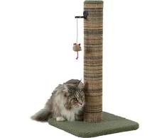 ZOLUX draskyklė katei słupek BOREAL M 60 cm žalia